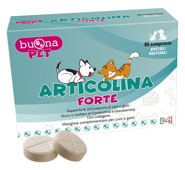ARTICOLINA FORTE 60 COMPRESSE MASTICABILI - Newepa Srl