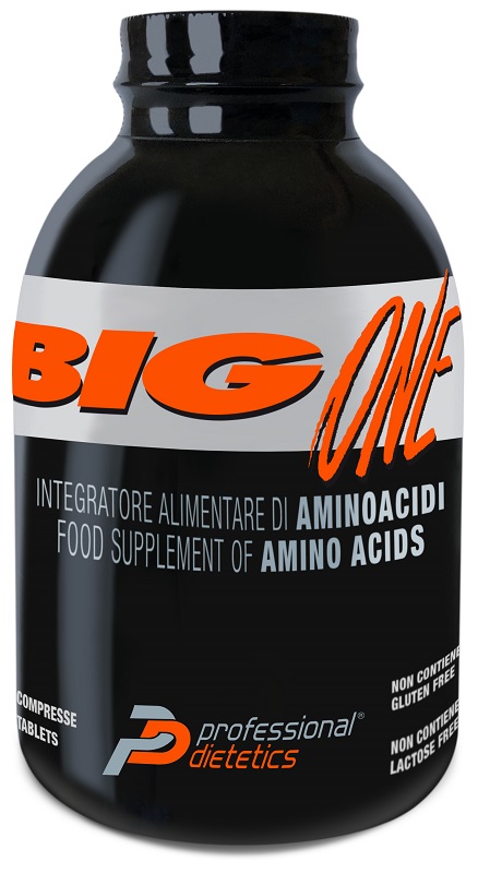 BIG ONE 300 COMPRESSE - Newepa Srl