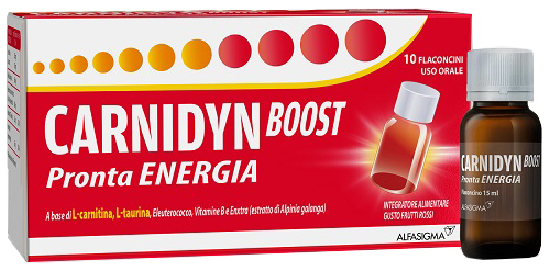 CARNIDYN BOOST 10 FLACONCINI - Newepa Srl