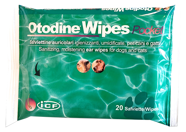 OTODINE WIPES POCKET 20 PEZZI - Newepa Srl