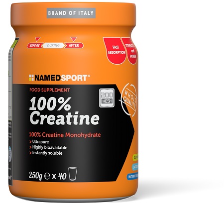 100% CREATINE 250 G - Newepa Srl