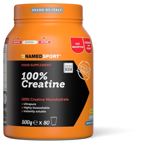 100% CREATINE 500 G - Newepa Srl