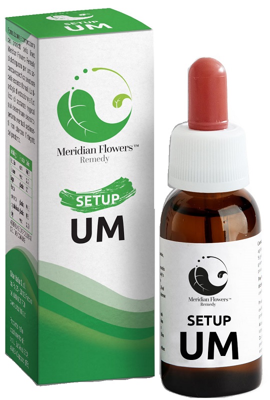 SETUP UM 10 ML MERIDIAN FLOWERS REMEDY - Newepa Srl