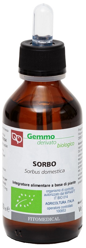 SORBO MACERATO GLICERICO 100 ML BIO - Newepa Srl