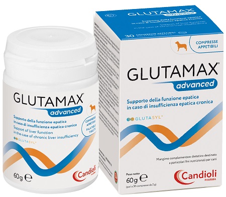 GLUTAMAX ADVANCED 30 COMPRESSE - Newepa Srl