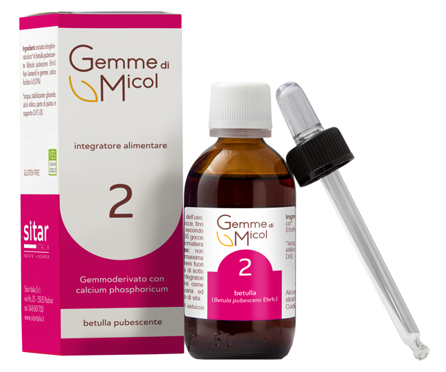 GEMME DI MICOL SOLUZIONE IDROGLICERALCOLICA 2 30 ML - Newepa Srl
